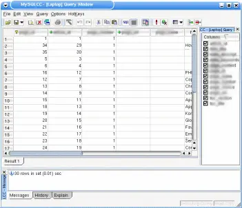 MySQL Control Center Query Window